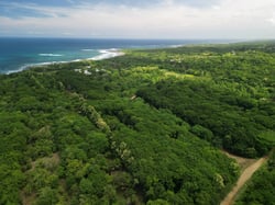 Eco-Development Beach Property 10 000m2 just 5 minutes walk to Marbella Beach