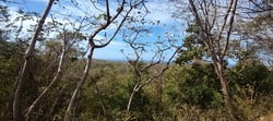 Panoramic Ocean View Farm of 2,4 Hecatreas just 10 minutes to Marbella Beach 