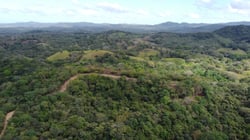 Panoramic Ocean View Farm of 2,4 Hecatreas just 10 minutes to Marbella Beach 