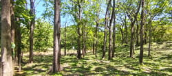Prime 10,000 m² Mixed-Use Lot – 500m from Marbella Beach