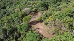 Panoramic Ocean View Farm of 2,4 Hecatreas just 10 minutes to Marbella Beach 