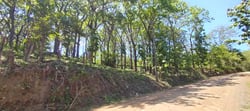 Prime 10,000 m² Mixed-Use Lot – 500m from Marbella Beach
