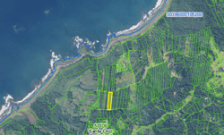 Prime 10,000 m² Mixed-Use Lot – 500m from Marbella Beach