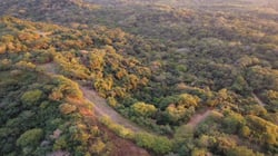 Panoramic Ocean View Farm of 2,4 Hecatreas just 10 minutes to Marbella Beach 