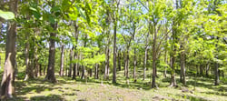 Prime 10,000 m² Mixed-Use Lot – 500m from Marbella Beach