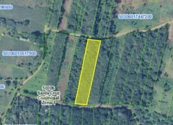 Prime 10,000 m² Mixed-Use Lot – 500m from Marbella Beach