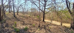 Lote Privado con Vista a la Montaña y Árboles Nativos en Marbella