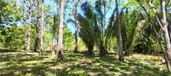 Prime 10,000 m² Mixed-Use Lot – 500m from Marbella Beach