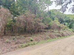 Eco-Development Beach Property 10 000m2 just 5 minutes walk to Marbella Beach